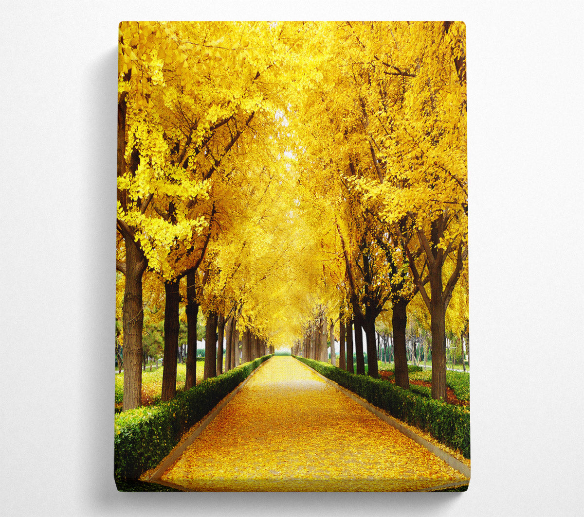 Stunning Landscape Canvas Art Shop Now at WallartDirect.co.uk Page 8