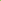 A Canvas Print of Lime Fizz Canvas Art