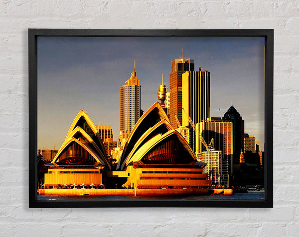 Sydney Opera House Golden Sunlight