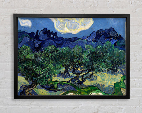 Van Gogh The Olive Trees