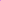 Lavender Pinks