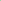 A Canvas Print of Mint Leaves Near The River Canvas Print