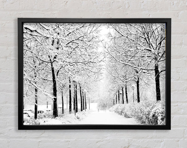 Winter In The Park Black And White