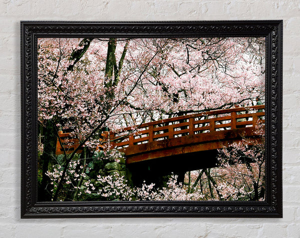 Cherry Blossom Bridge