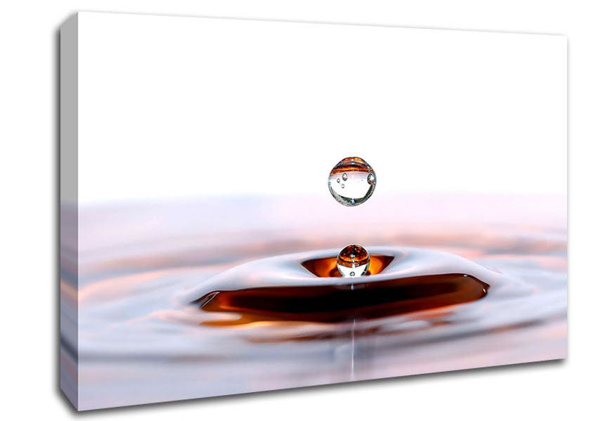 Liquid Droplet Canvas Wall Art