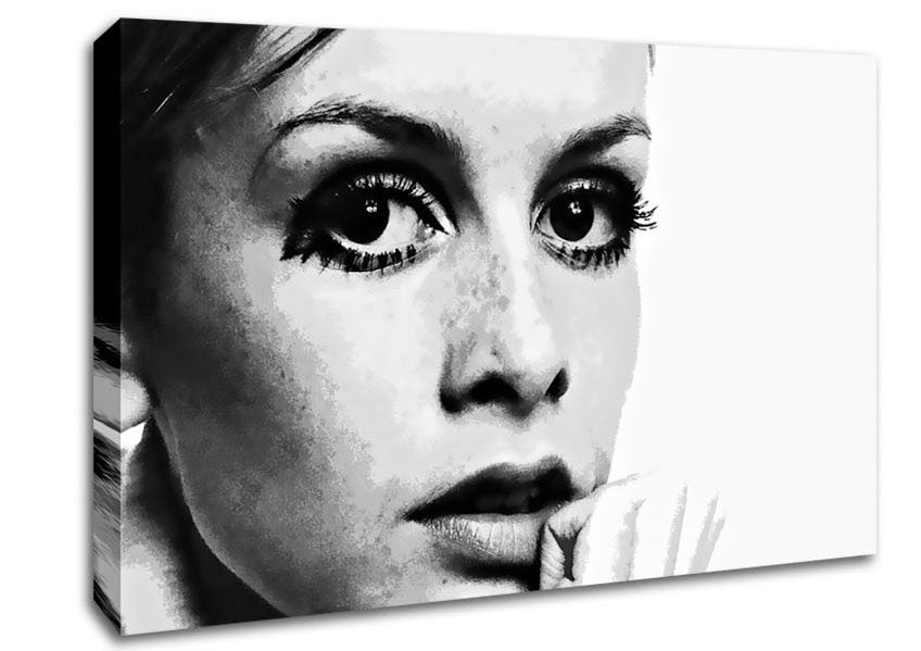 Twiggy First Top Model Canvas Wall Art