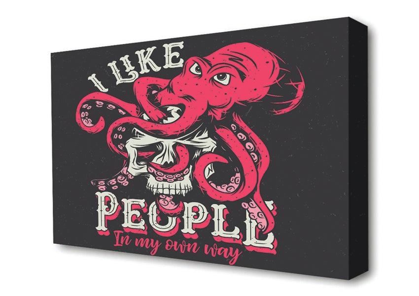 I Like People In My Own Way Canvas Wall Art