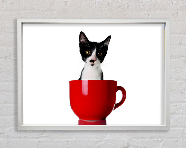 Cat In A Tea Cup