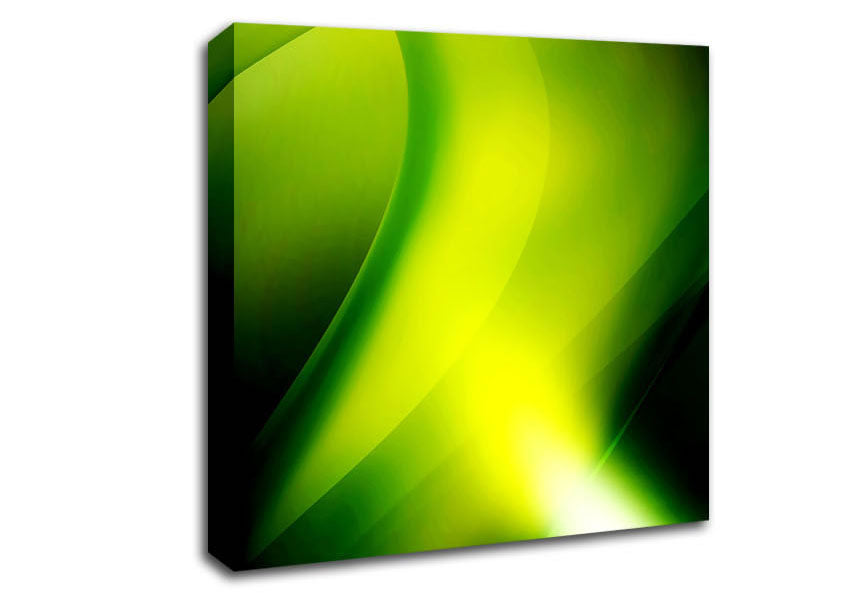 Lime Light Canvas Wall Art