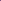 Starfish On Purple