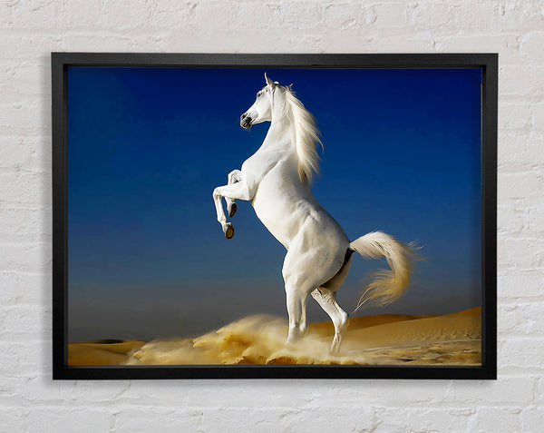 White Horse Stance