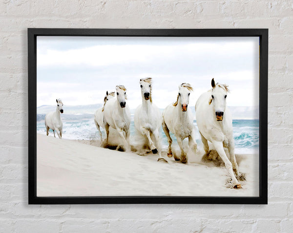 White Ocean Horses