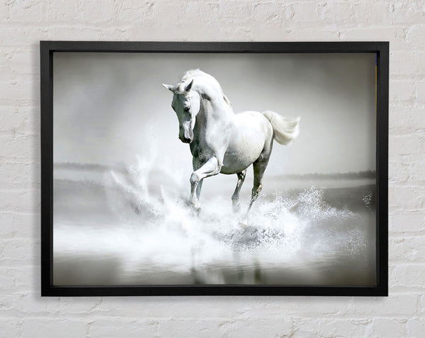 White Water Horse