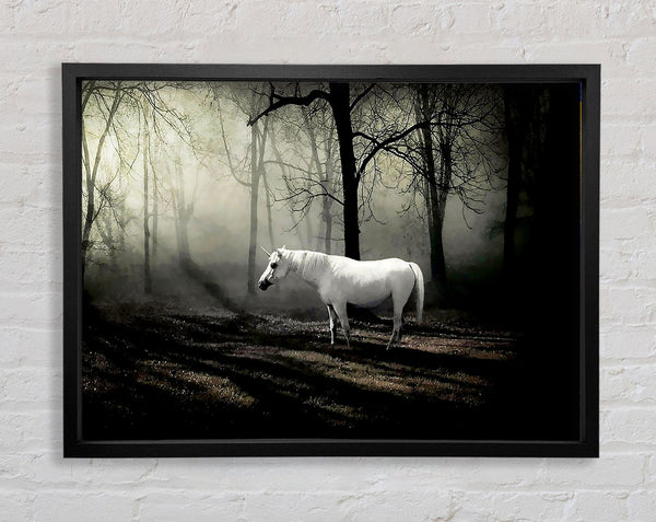 Wild White Unicorn In The Woodland