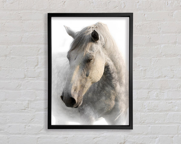 White Horse Love