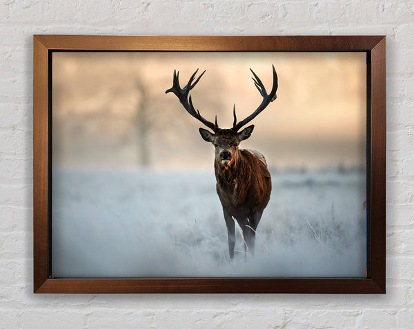 Beautiful Winter Stag