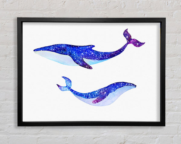 Twinkling Whales