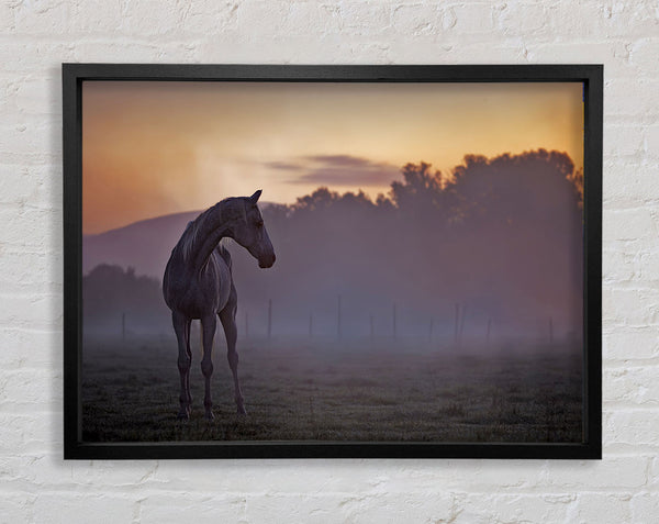 Sunrise Horse