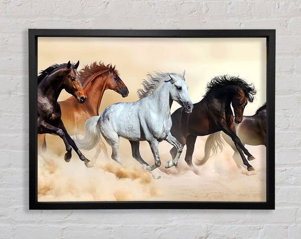 Wild Stallion Horse Desert
