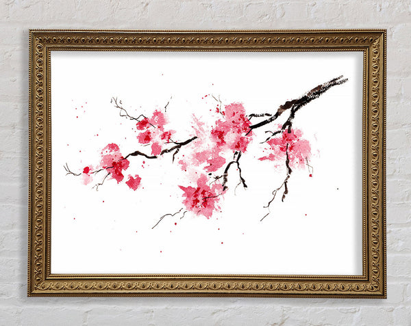 Chinese Cherry Blossom branch