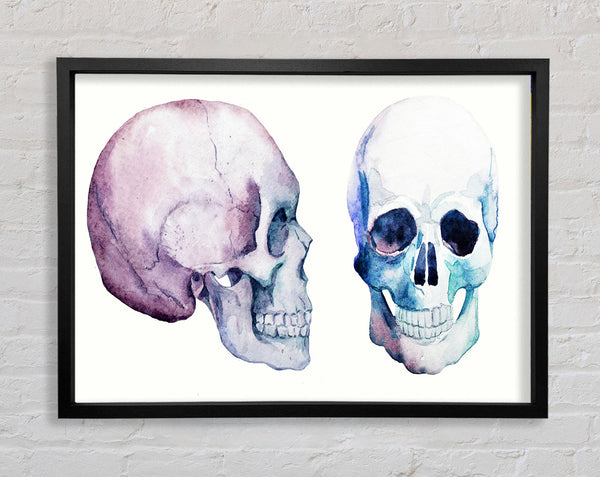 Two Skulls Meet