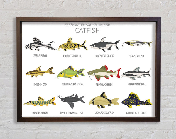 Catfish Chart