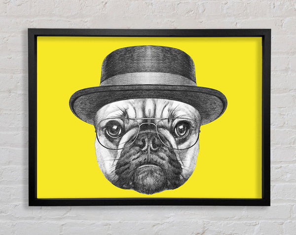 The Pug With A Hat