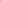 Pink Lion Stare