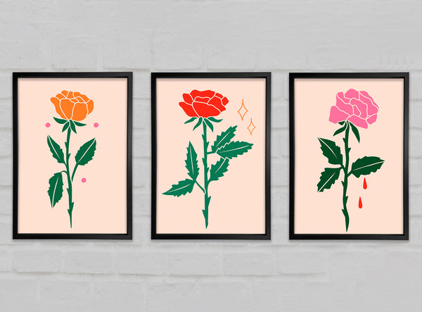 Trio Of Roses