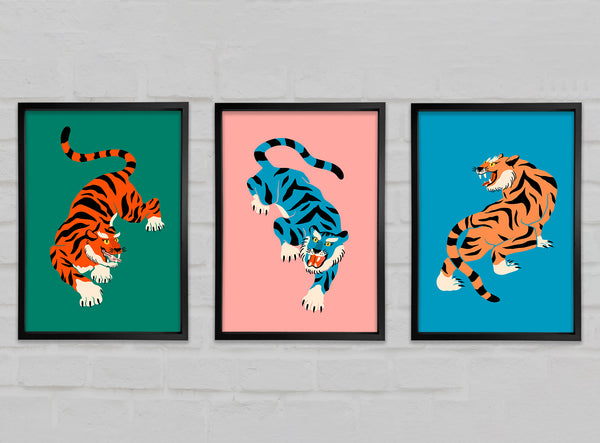 Trio Of Tigers