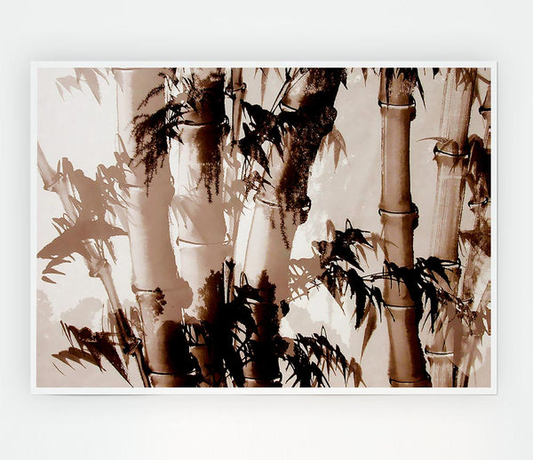 Bamboo Caines Print Poster Wall Art