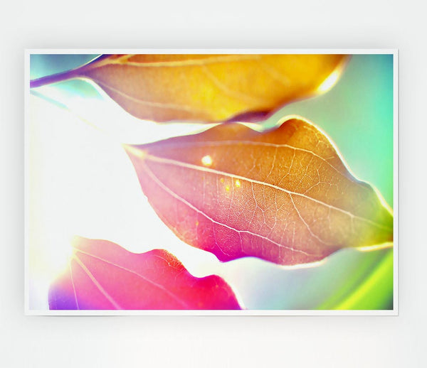 Coloured Leaves Print Poster Wall Art