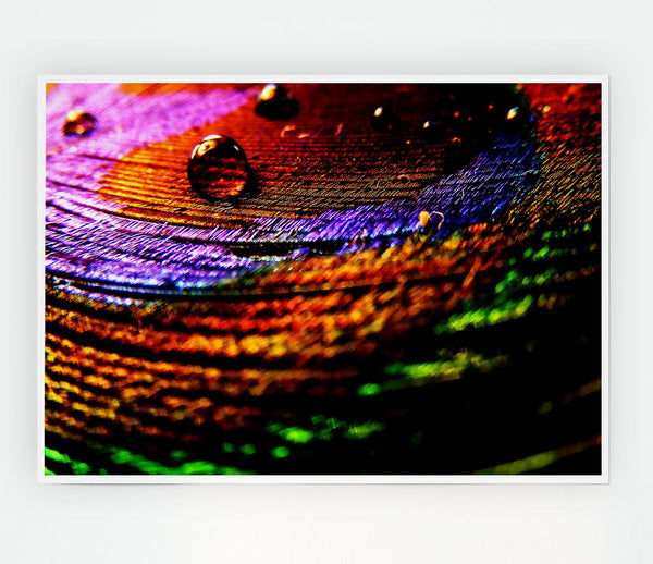 Colourful Bubble Ripples Print Poster Wall Art