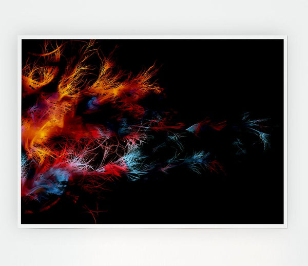 Feather Delight Print Poster Wall Art