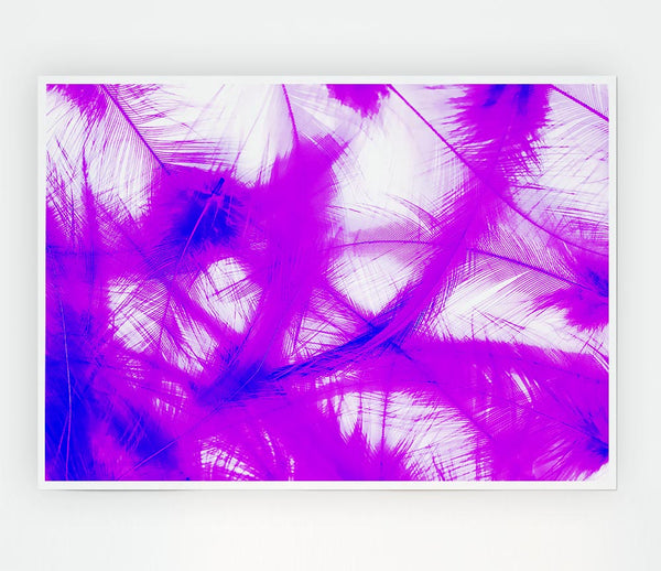 Feathers Pink Print Poster Wall Art