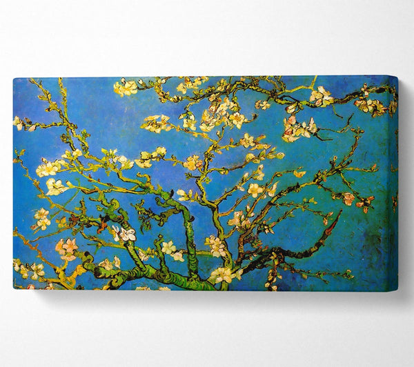 Van Gogh Blossoming Almond Tree