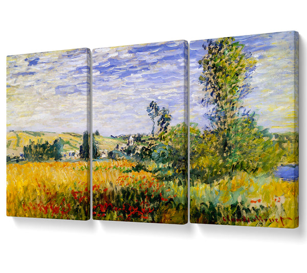 Claude Monet Fields