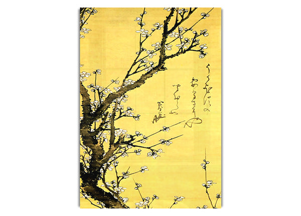Flowering Plum By Hokusai