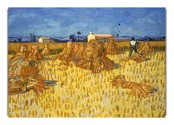 Van Gogh Corn Harvest In Provence