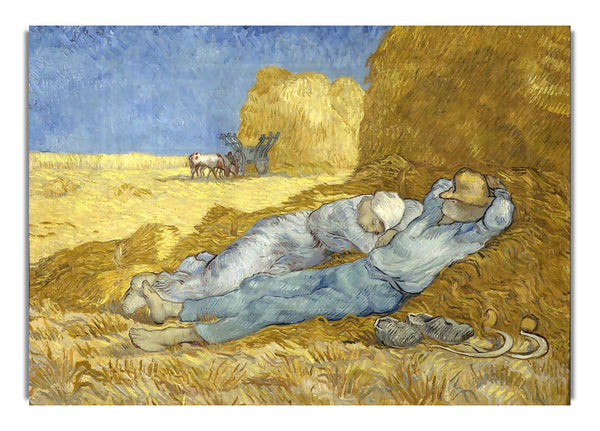 Van Gogh Siesta