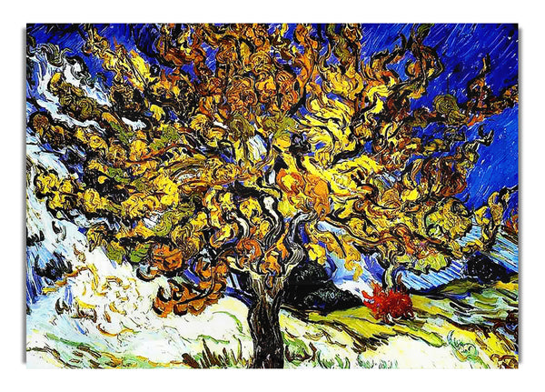 Vincent Van Gogh The Mulberry Tree