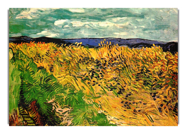 Wheat Field With Cornflowers By Van Gogh