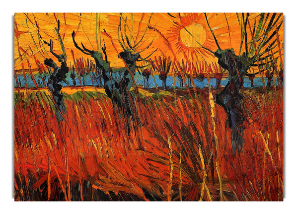 Willows At Sunset By Van Gogh