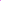 Lavendel-Nelke