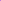 Delicate Purple Petals