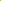 Summer Tree Leaves