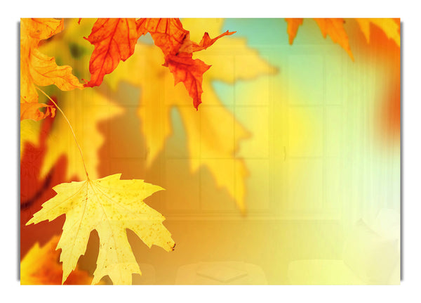 Yellow Autumn Leaves Macro