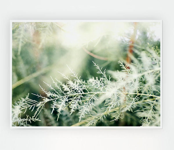 Winter Snow Leaves Print Poster Wall Art