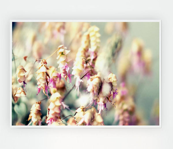 Wild Flowers In Spring Print Poster Wall Art