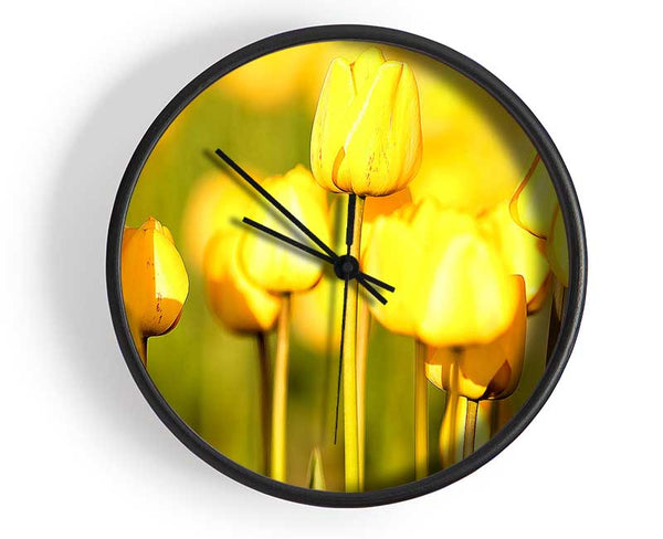 Yellow Tulips In The Garden Clock - Wallart-Direct UK